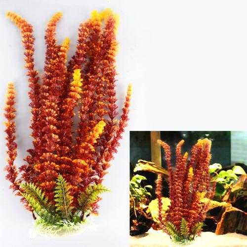 Live Aquatic Plant Bundle
