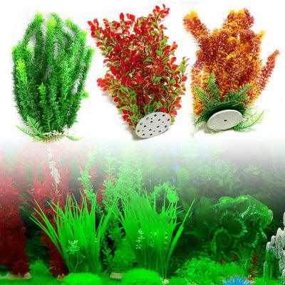 Live Aquatic Plant Bundle