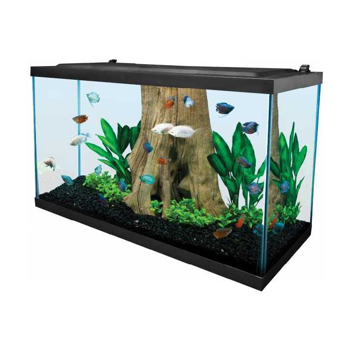 Tetra Complete Aquarium Kit (10 Gallon)