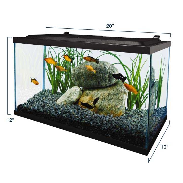 Tetra Complete Aquarium Kit (10 Gallon)