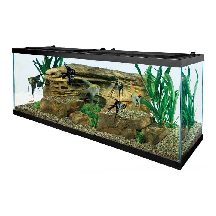 Tetra Complete Aquarium Kit (10 Gallon)