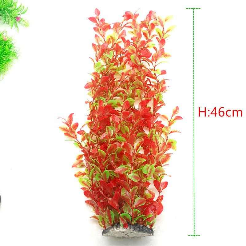Live Aquatic Plant Bundle