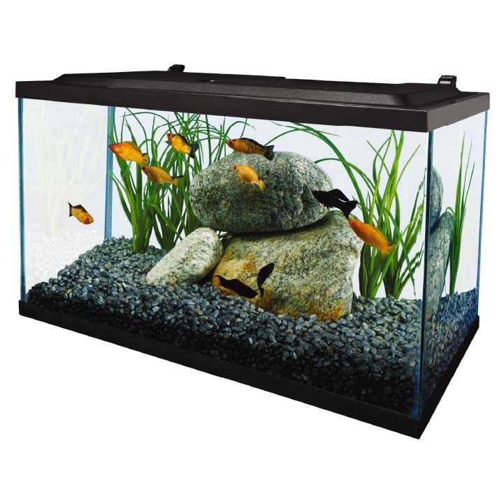 Tetra Complete Aquarium Kit (10 Gallon)