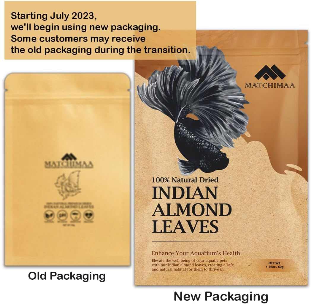 Indian Almond Leaves (10–20 pack)