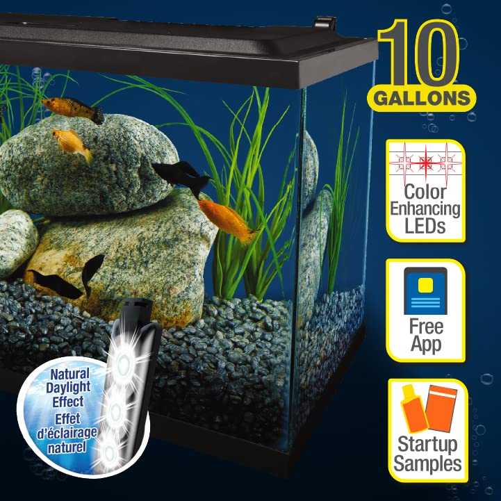 Tetra Complete Aquarium Kit (10 Gallon)