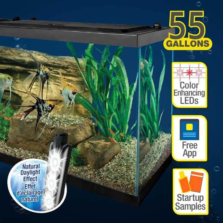 Tetra Complete Aquarium Kit (10 Gallon)