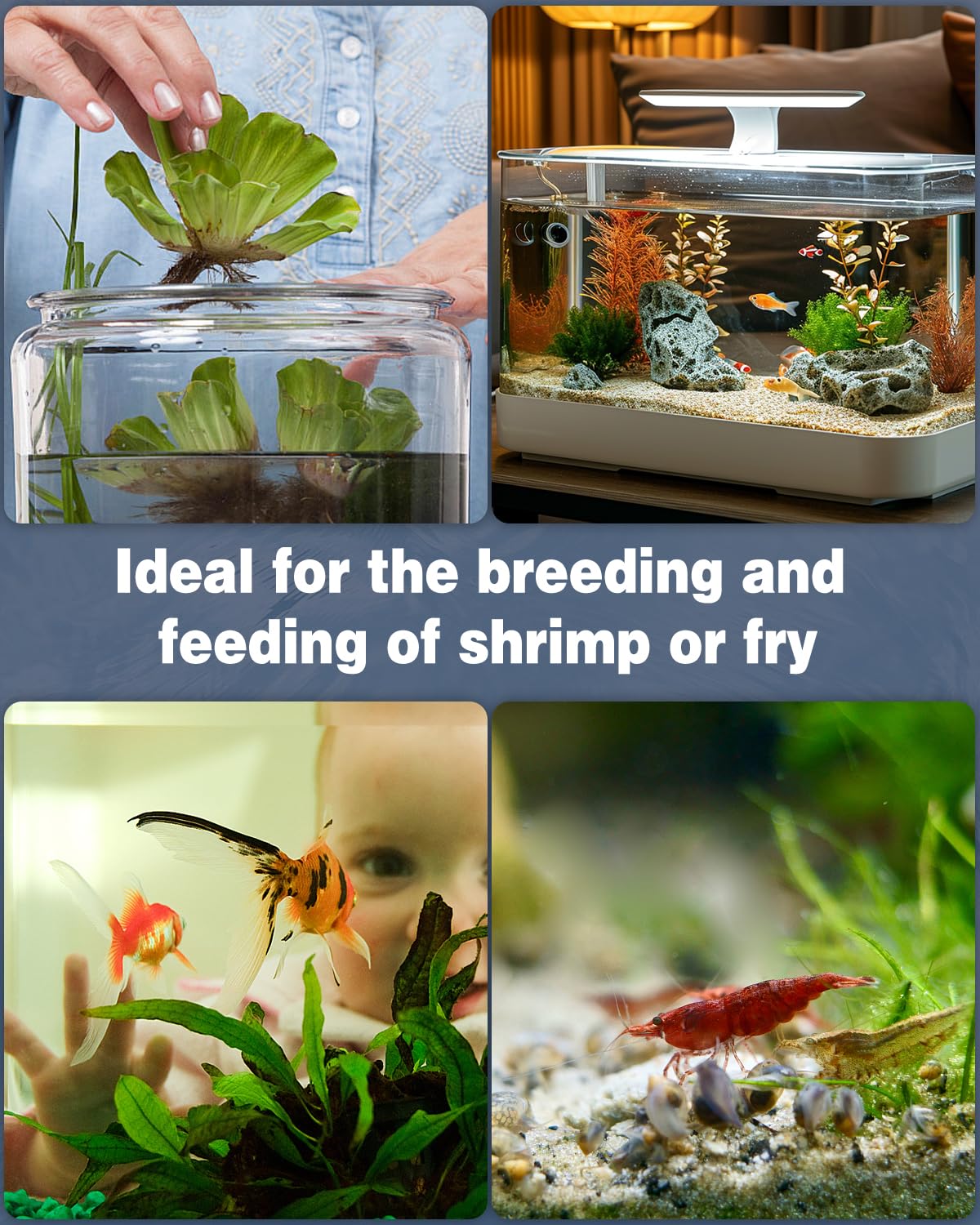 Pawfly Mini Aquarium Sponge Filter, Small Fish Tank Internal Filter with Foam and Air Stone Submersible Bio Sponge Filter for Fish Tanks up to 5 Gallon (Air Pump Not Included)