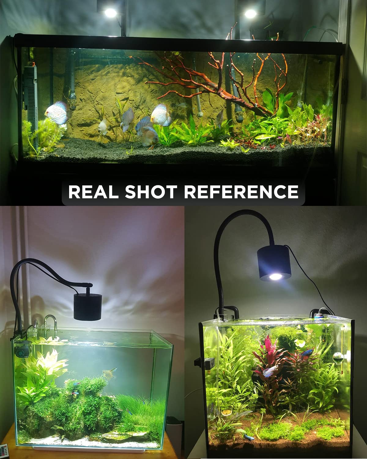 Lominie LED Aquarium Light Saltwater Aquarium Lamp 30W Full Spectrum with Remote Dimmable Nano Coral Reef Light for Fish Tank with Bracket