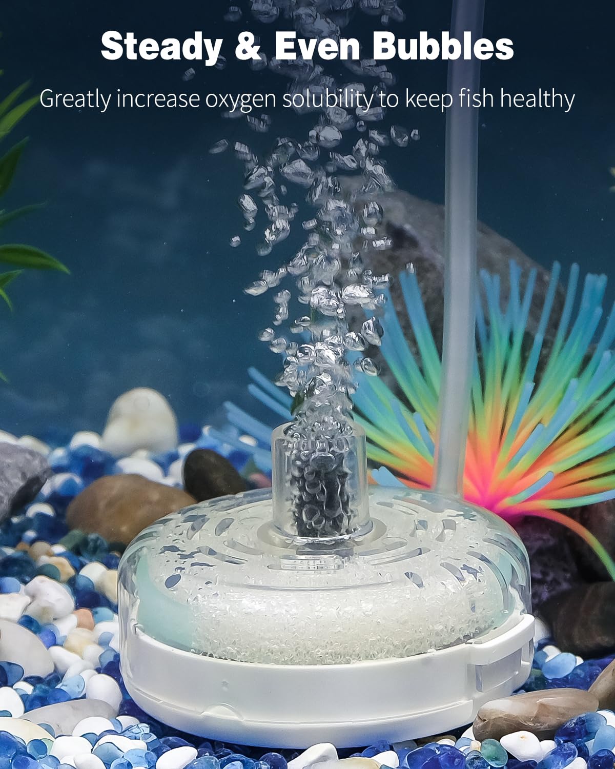 Pawfly Mini Aquarium Sponge Filter, Small Fish Tank Internal Filter with Foam and Air Stone Submersible Bio Sponge Filter for Fish Tanks up to 5 Gallon (Air Pump Not Included)