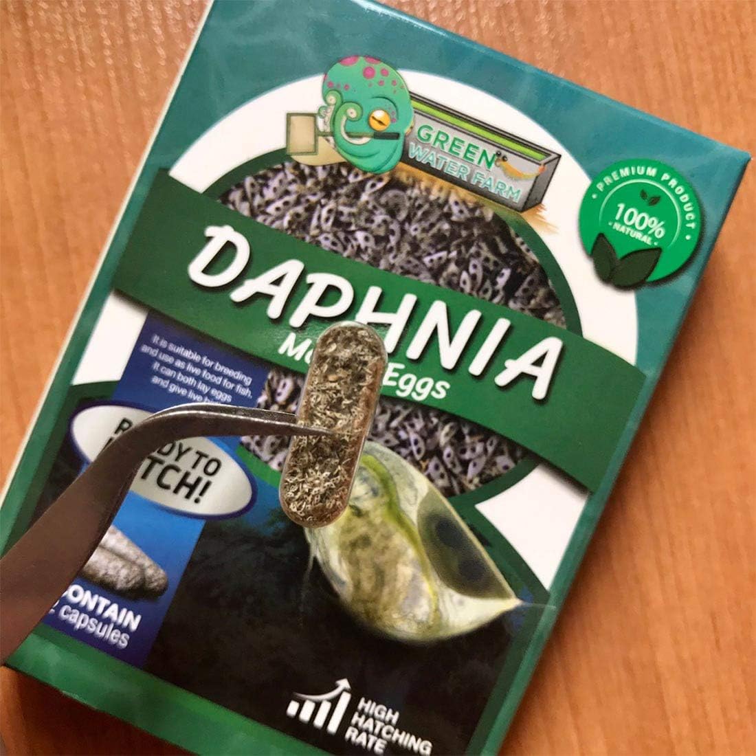 GreenWaterFarm Daphnia Magna Eggs Live Fish Food for Hatching and Culture Suitable for Feed Betta Fish