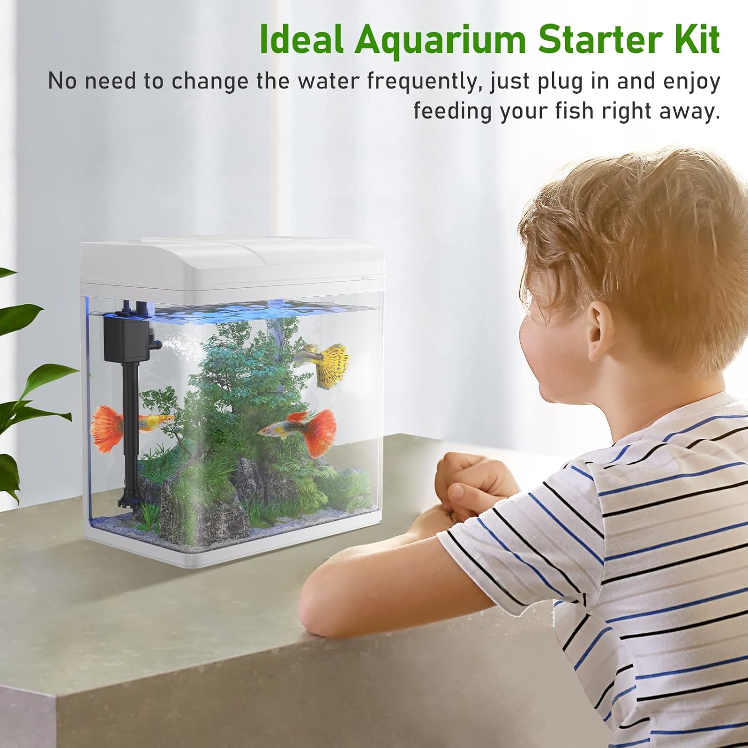 PONDON Fish Tank, 1.7 Gallon Glass Aquarium with Air Pump & LED Light & Filter, Small Fish Tank for Betta Fish Starter Kit (White)