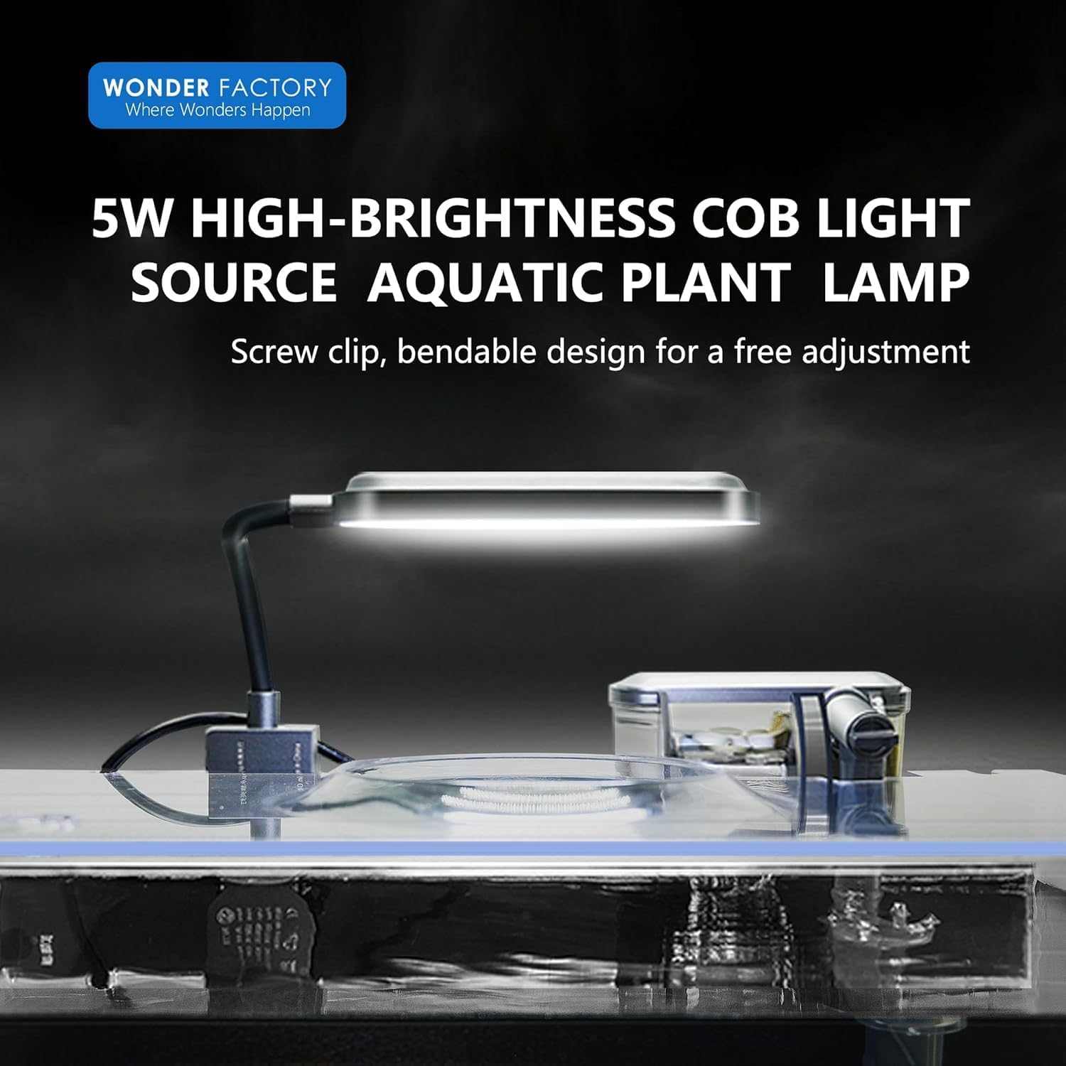 New Betta Owner Starter Bundle