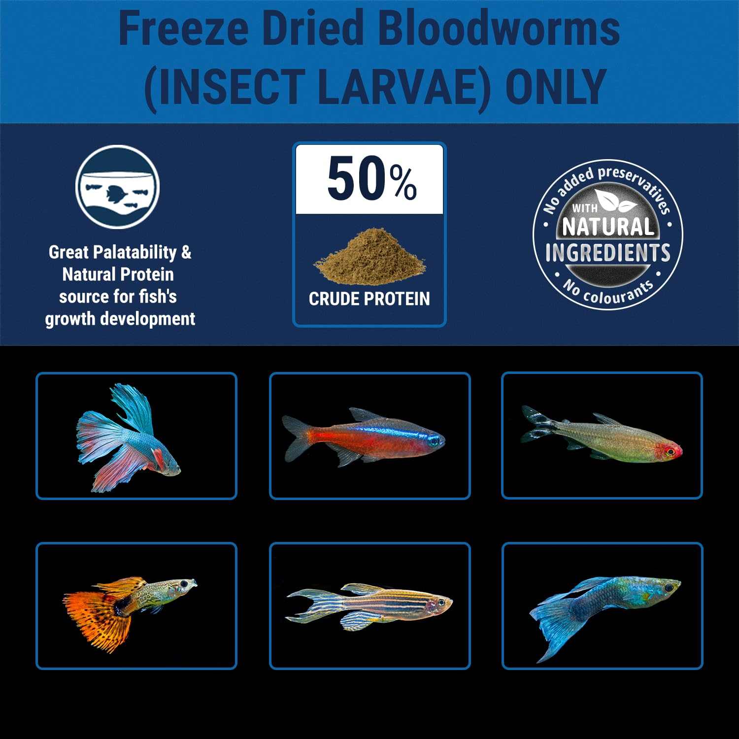 Freeze-Dried Bloodworms