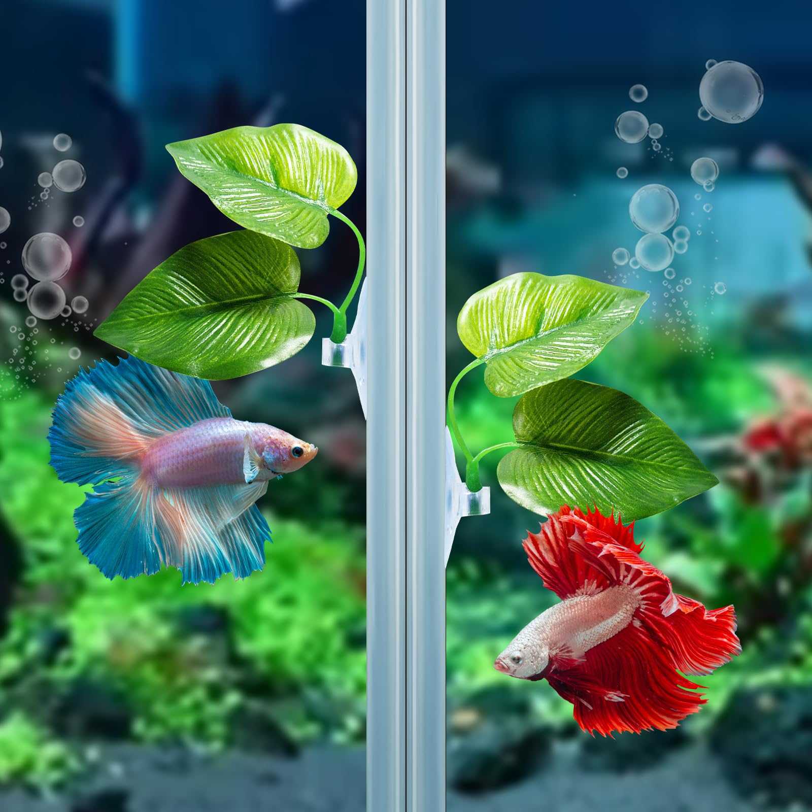Betta Leaf Hammock