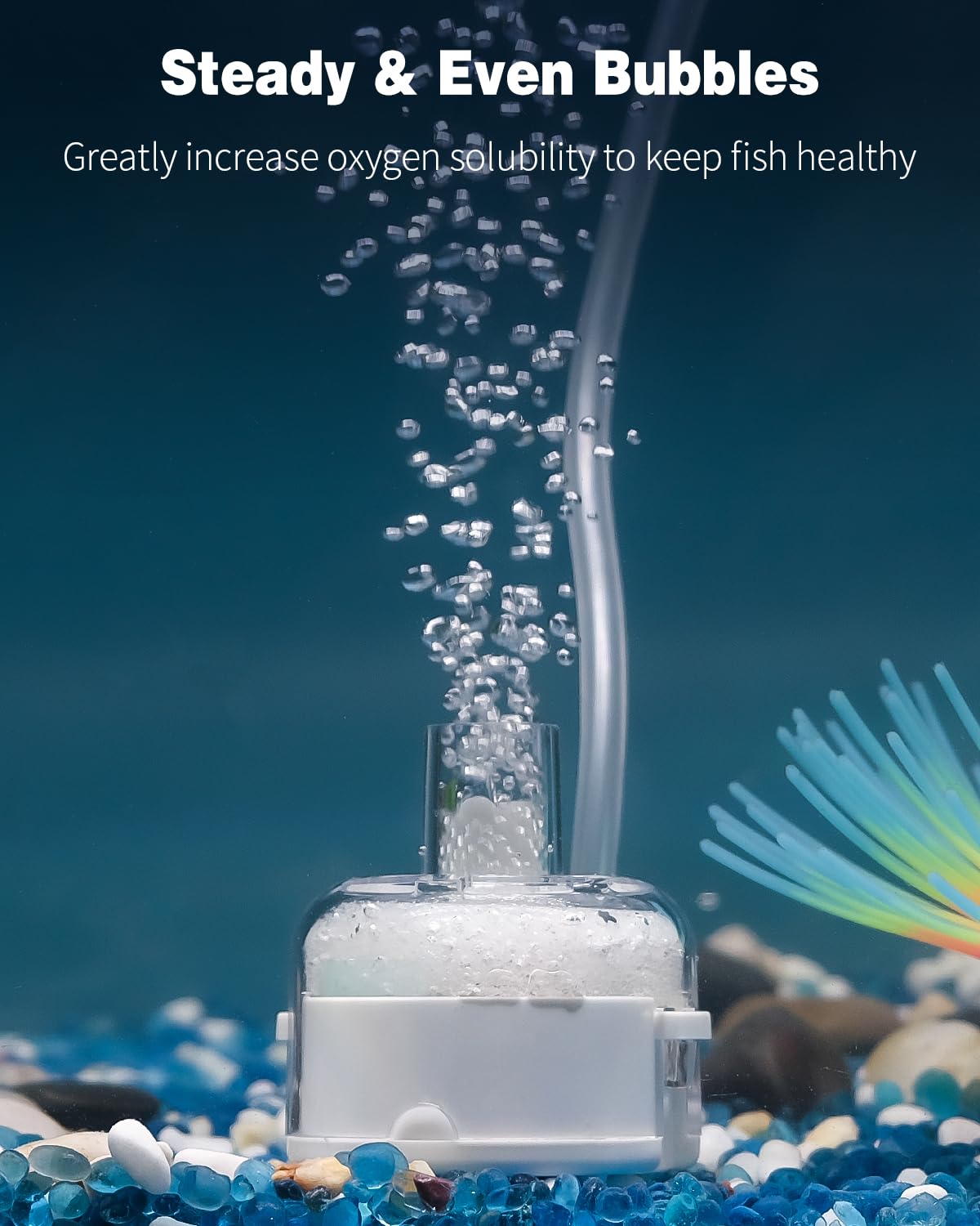 Pawfly Mini Aquarium Sponge Filter, Small Fish Tank Internal Filter with Foam and Air Stone Submersible Bio Sponge Filter for Fish Tanks up to 5 Gallon (Air Pump Not Included)