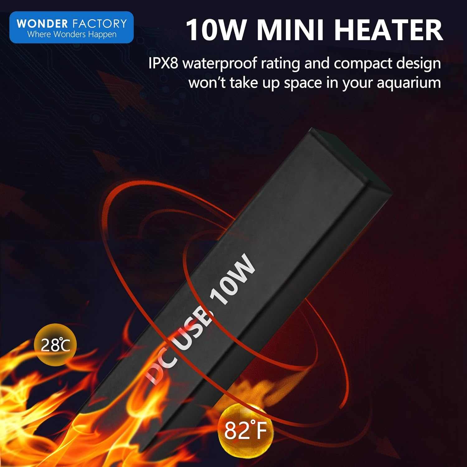 New Betta Owner Starter Bundle