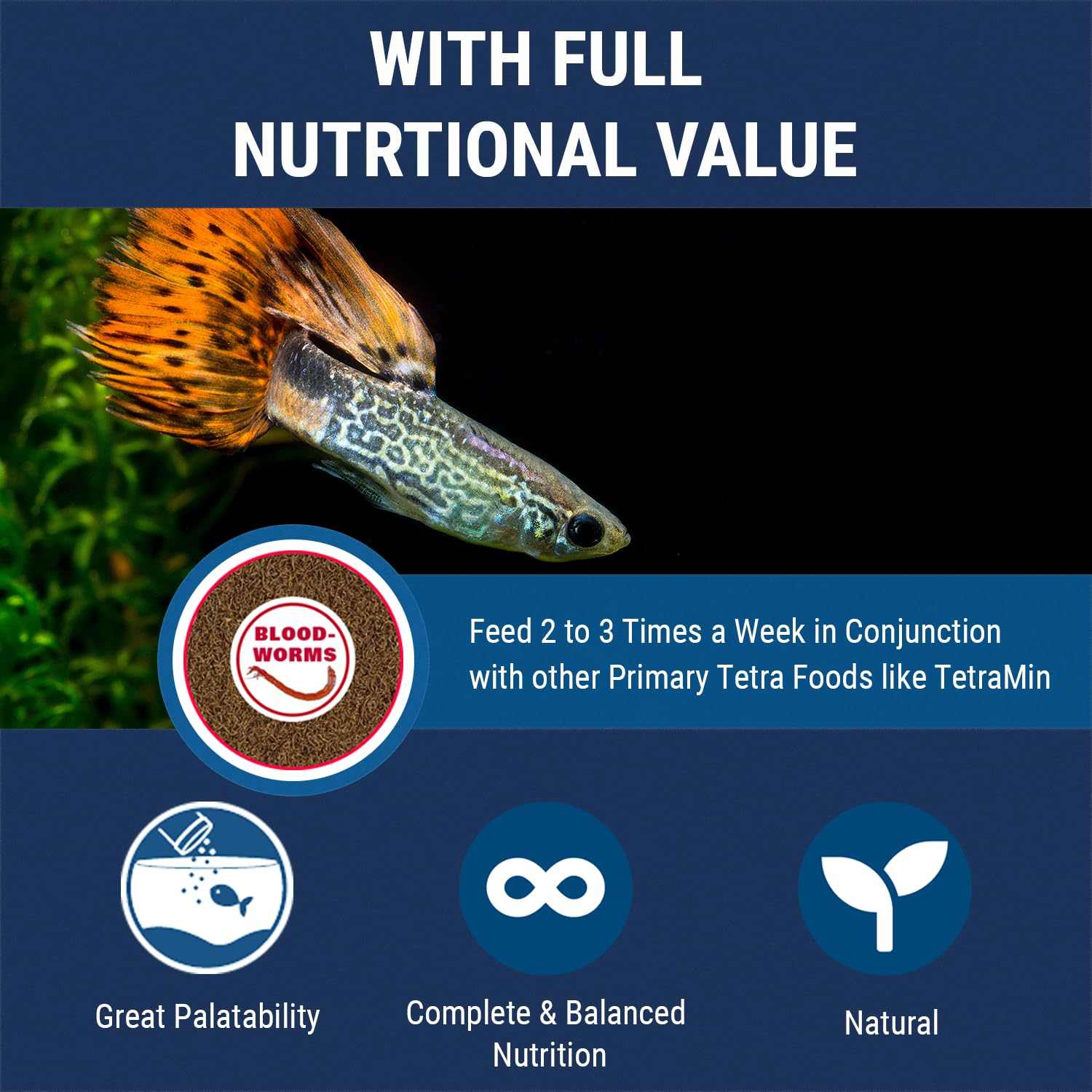 Freeze-Dried Bloodworms