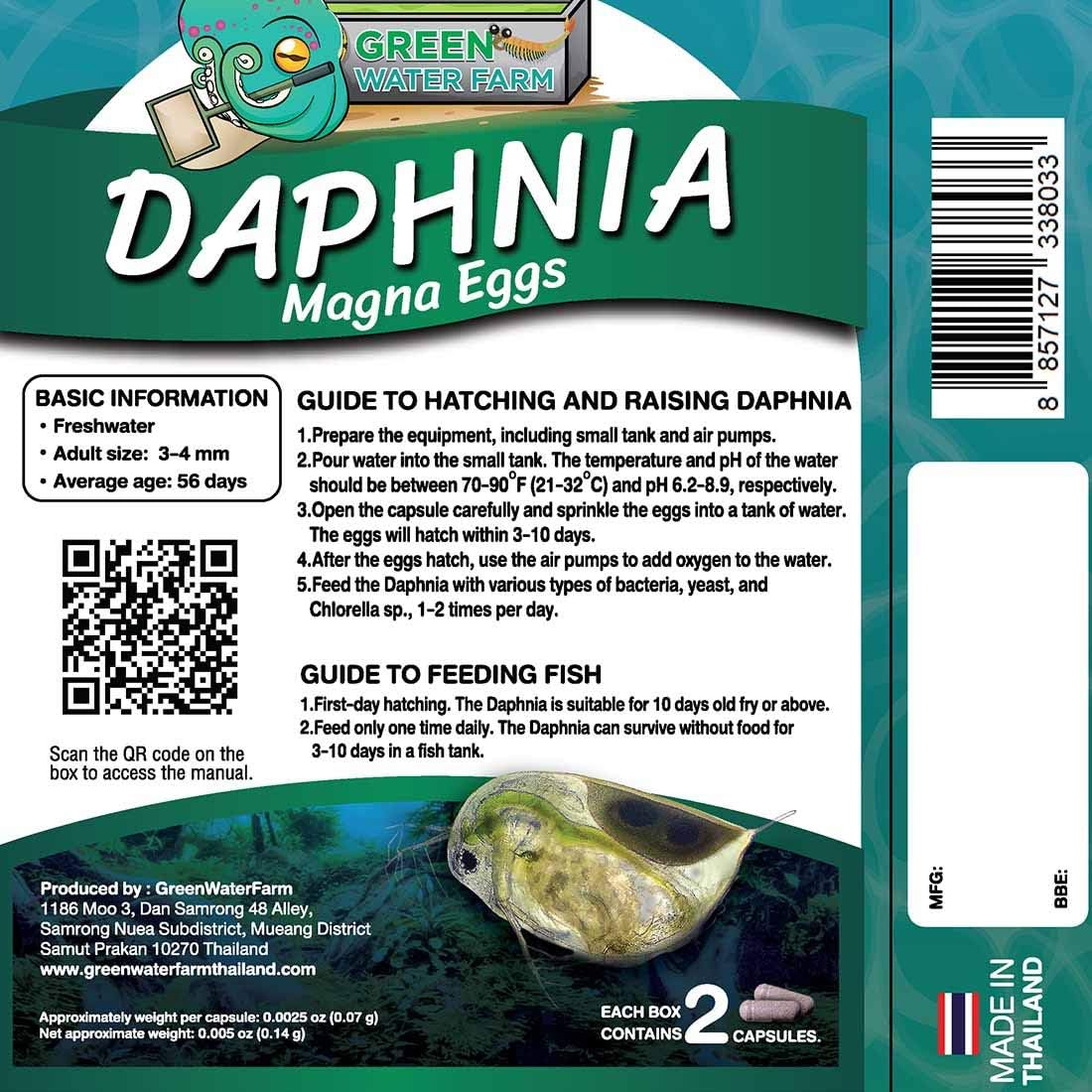 GreenWaterFarm Daphnia Magna Eggs Live Fish Food for Hatching and Culture Suitable for Feed Betta Fish