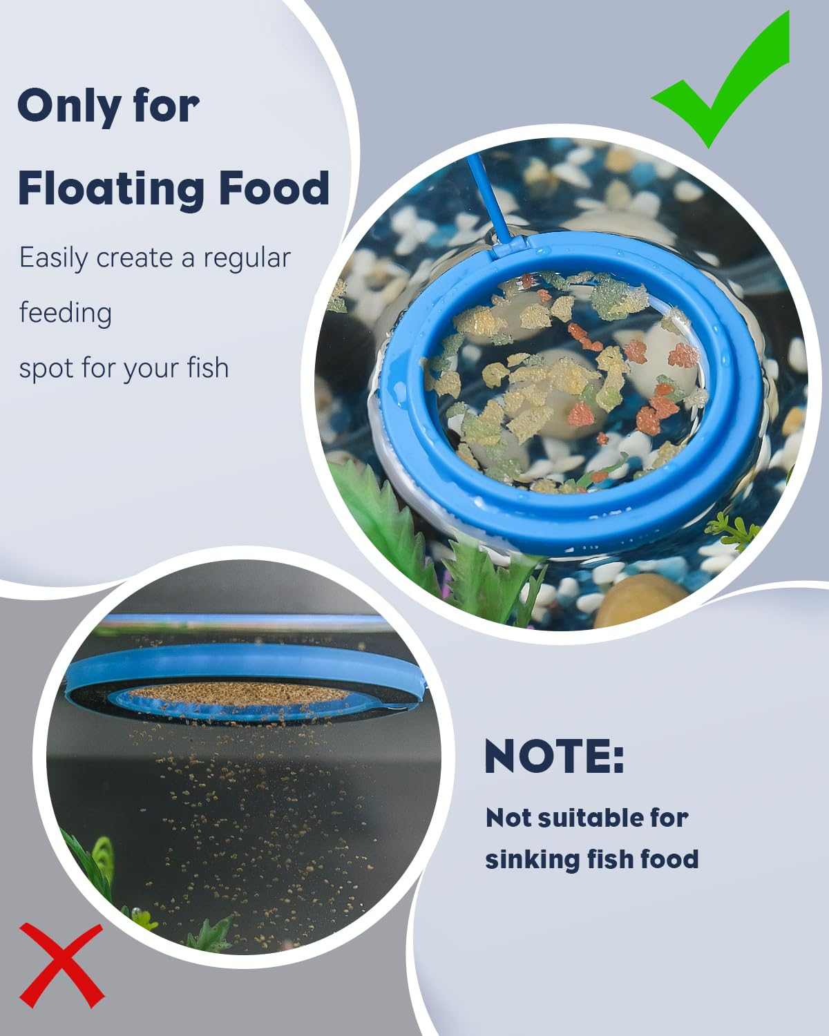 Feeding Ring + Dropper Tool