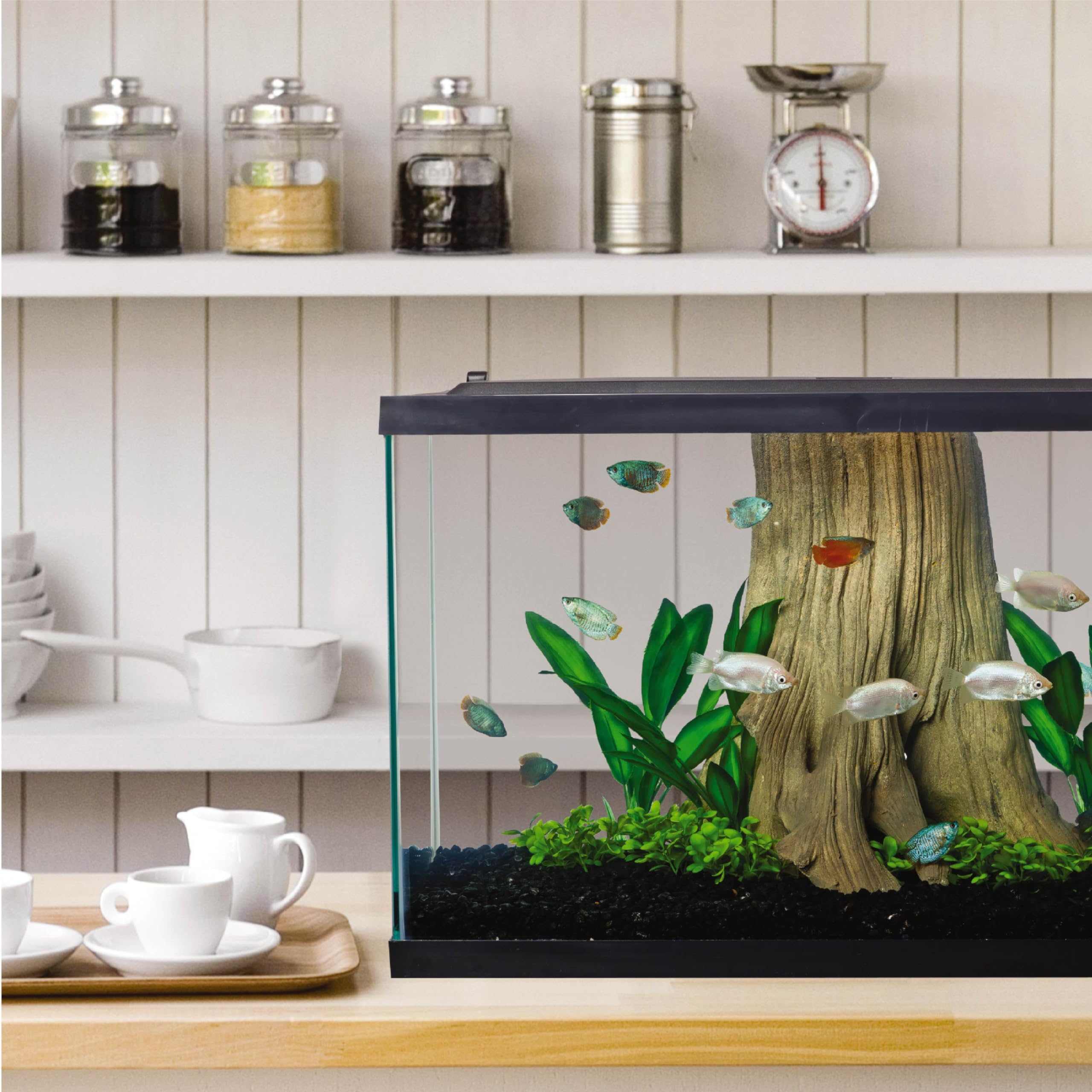 Tetra Complete Aquarium Kit (10 Gallon)