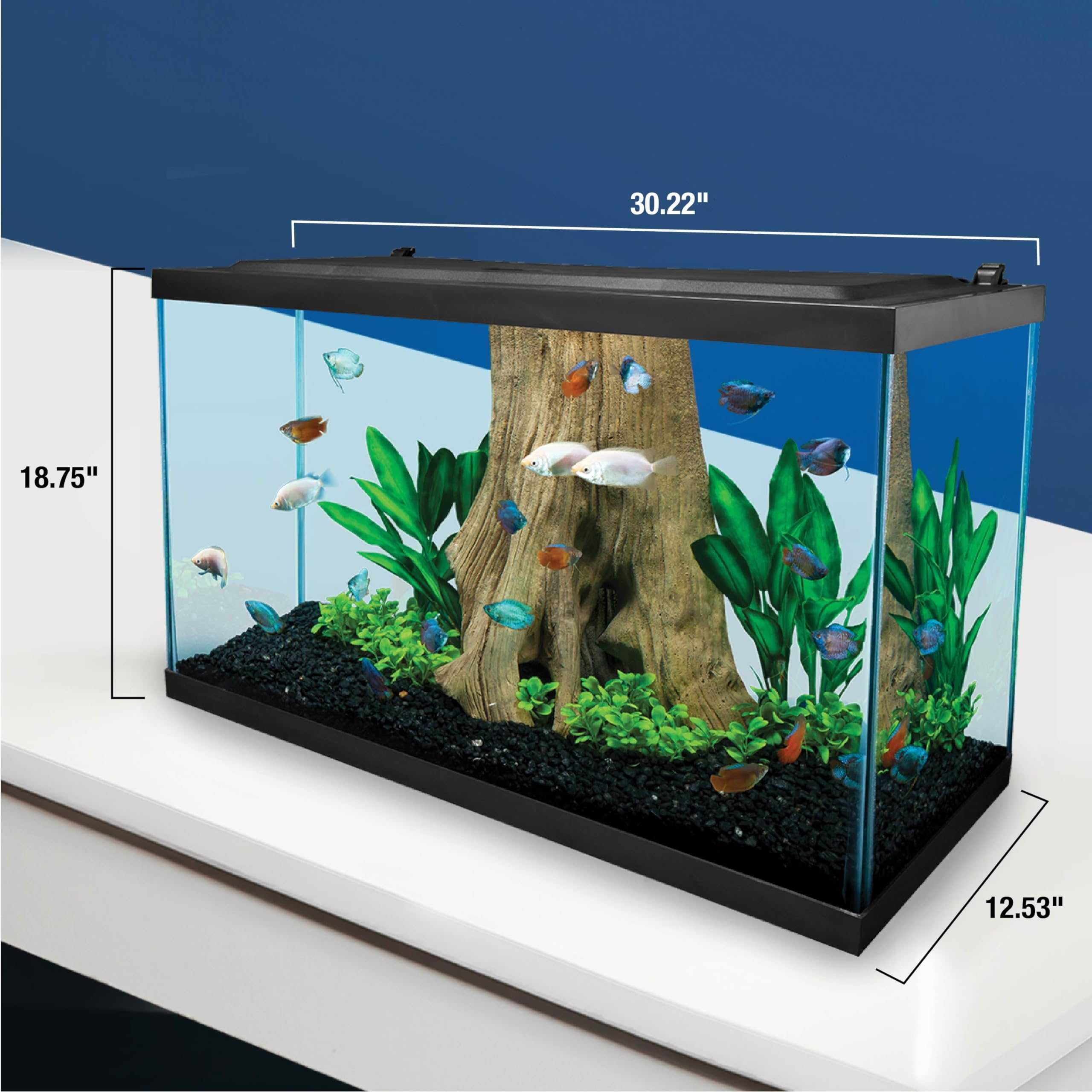 Tetra Complete Aquarium Kit (10 Gallon)