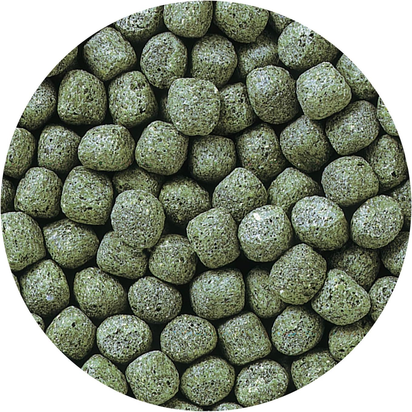 Hikari Cichlid Staple Floating Pellets Fish Food, Large Pellets, 8.8 oz. (250g)