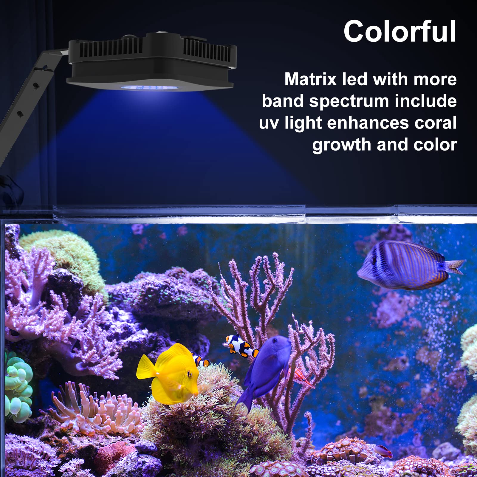 Lominie LED Aquarium Light Saltwater Aquarium Lamp 30W Full Spectrum with Remote Dimmable Nano Coral Reef Light for Fish Tank with Bracket