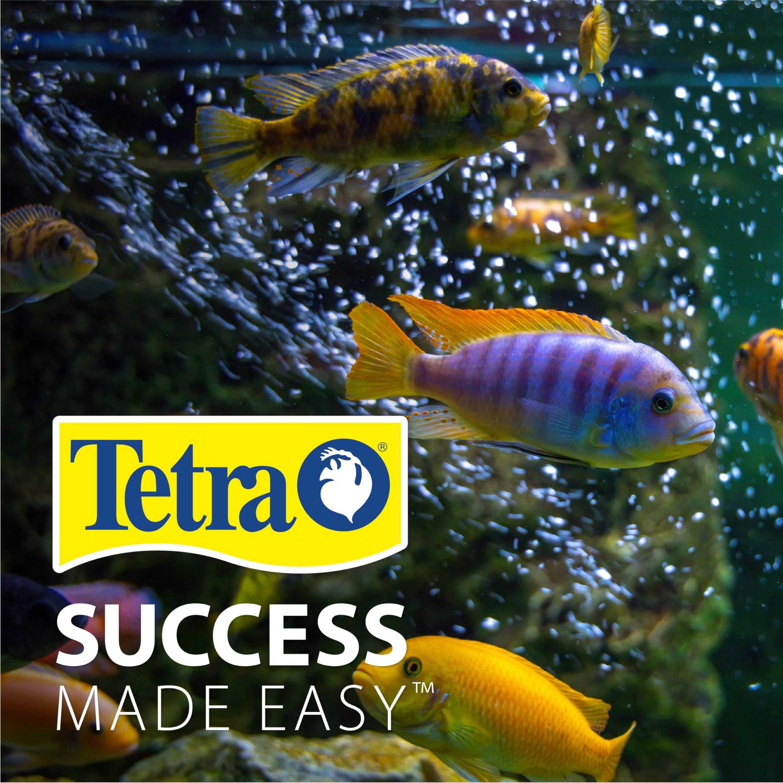Tetra Complete Aquarium Kit (10 Gallon)