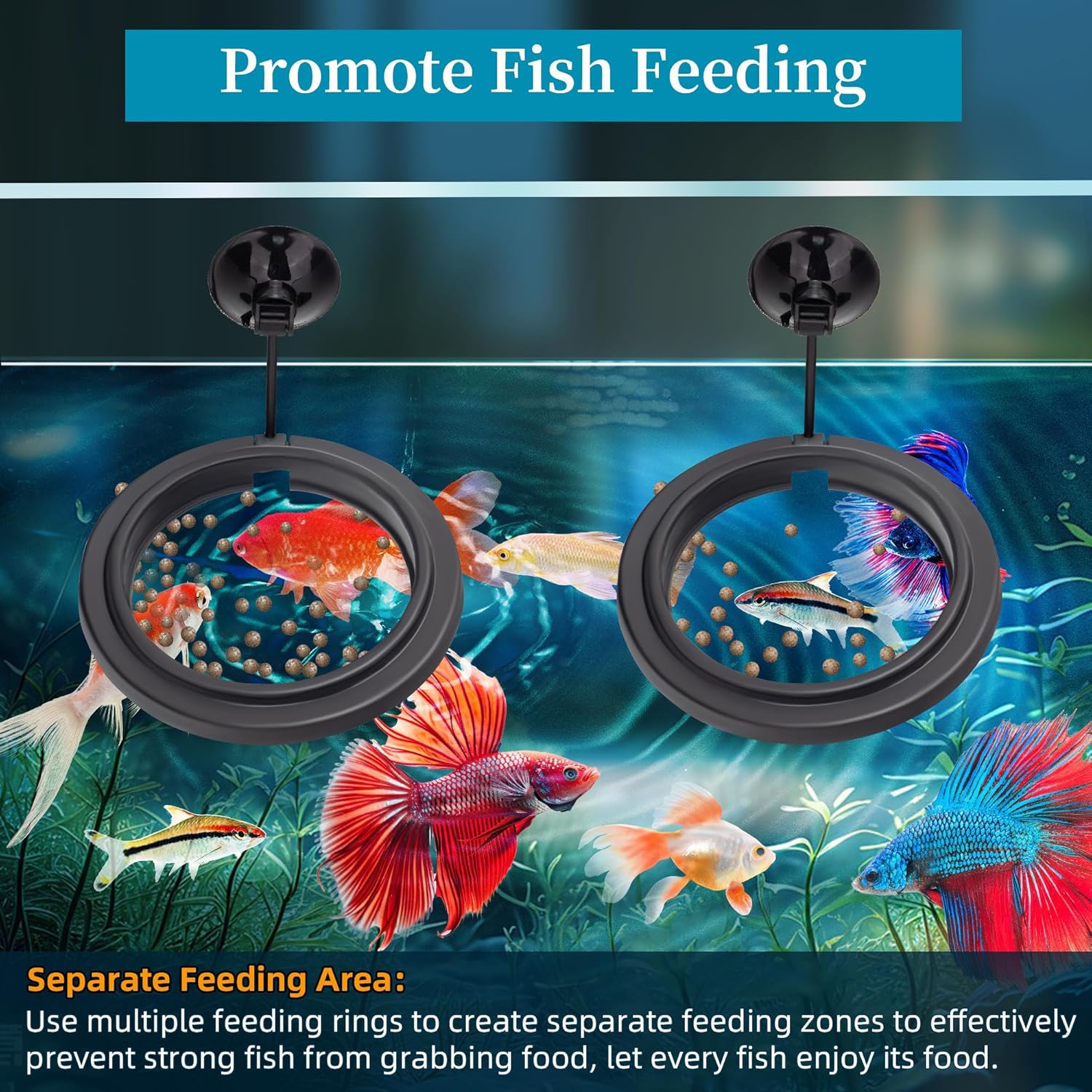 Small Fish Feeding Ring Round Mini Aquarium Feeder with Strong Suction Cup Floating Fish Feeder Ring for Betta Goldfish Guppy