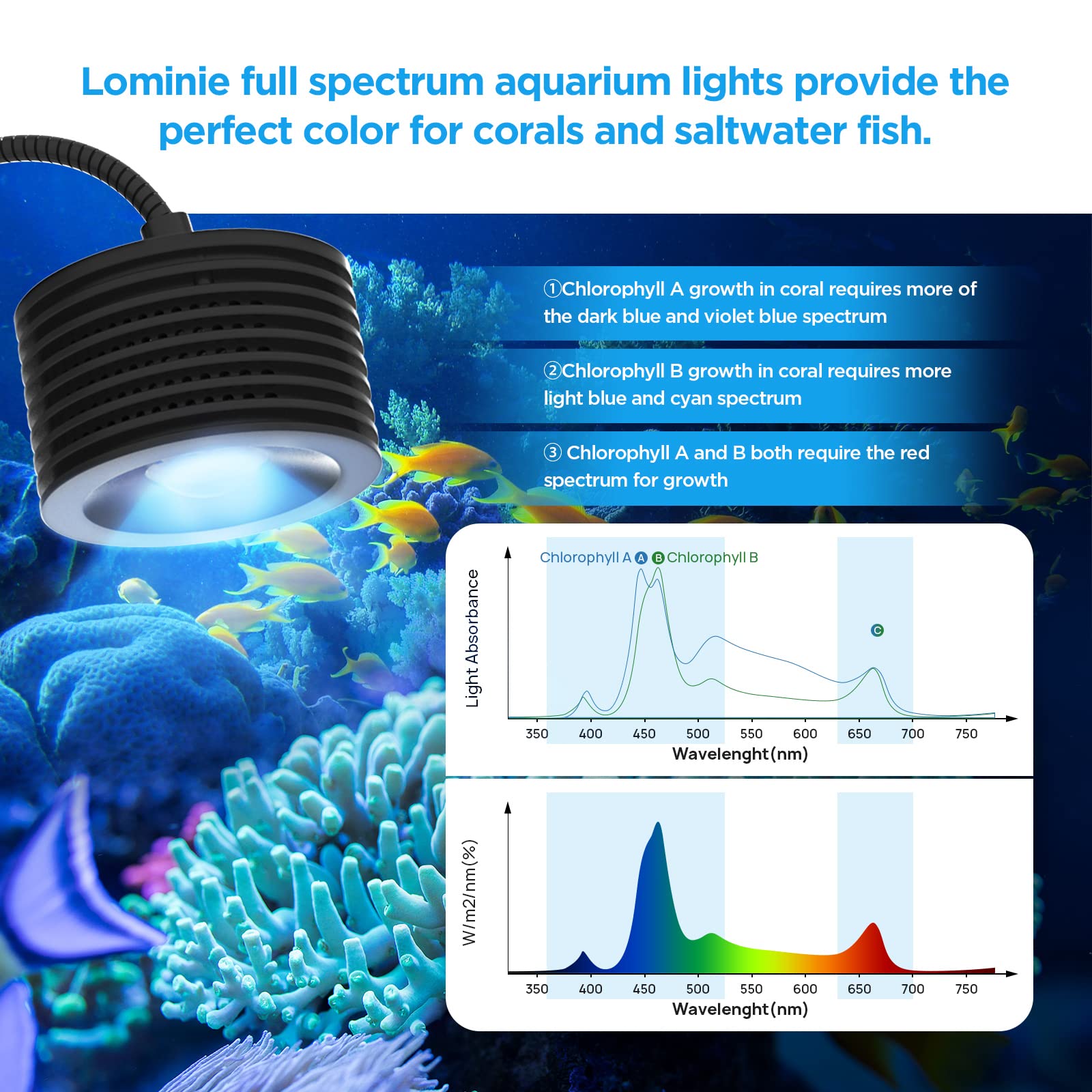 Lominie LED Aquarium Light Saltwater Aquarium Lamp 30W Full Spectrum with Remote Dimmable Nano Coral Reef Light for Fish Tank with Bracket