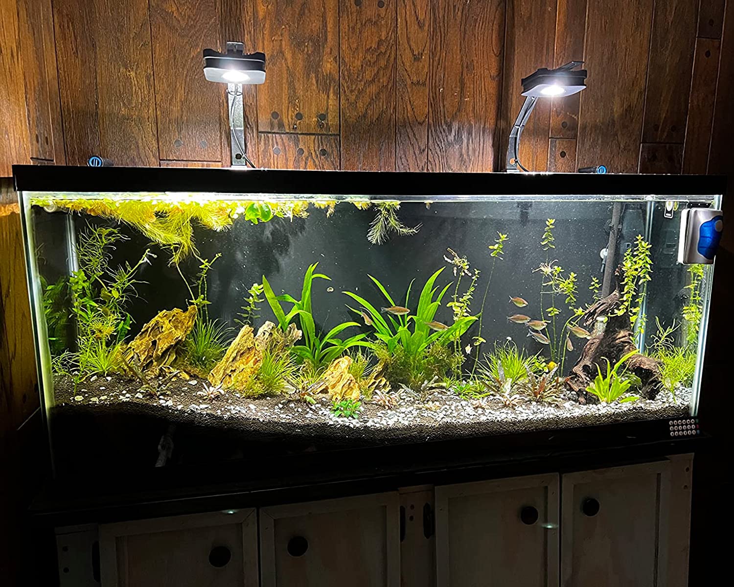 Lominie LED Aquarium Light Saltwater Aquarium Lamp 30W Full Spectrum with Remote Dimmable Nano Coral Reef Light for Fish Tank with Bracket