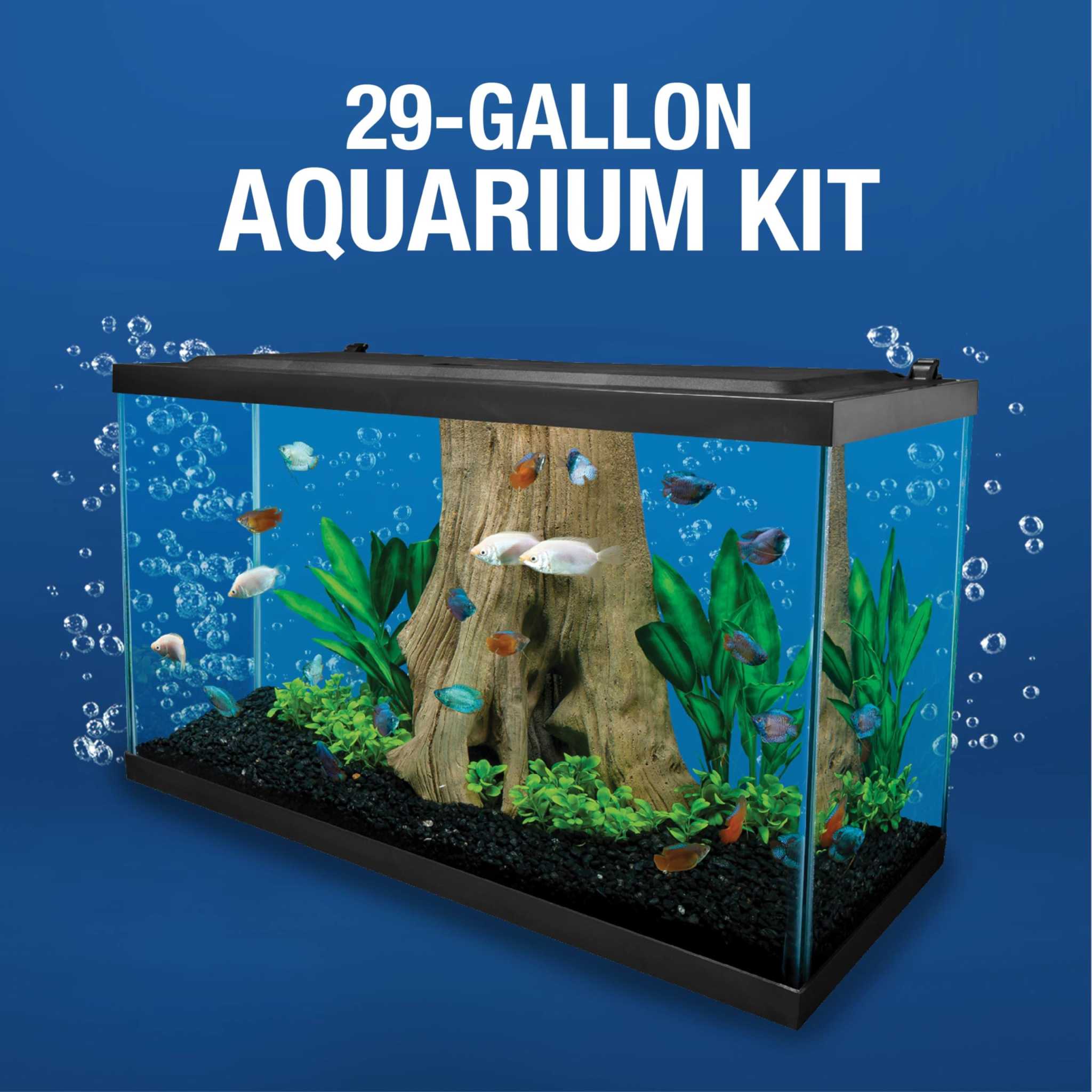 Tetra Complete Aquarium Kit (10 Gallon)