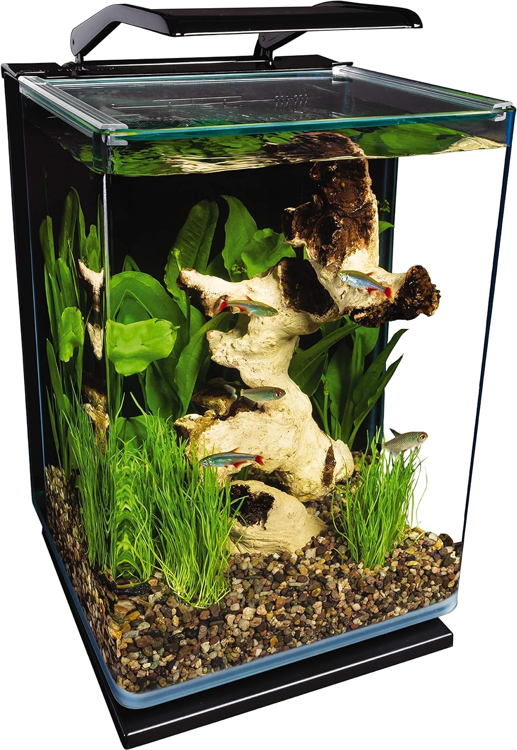 Marineland Portrait Glass Aquarium Kit (5 Gallon)
