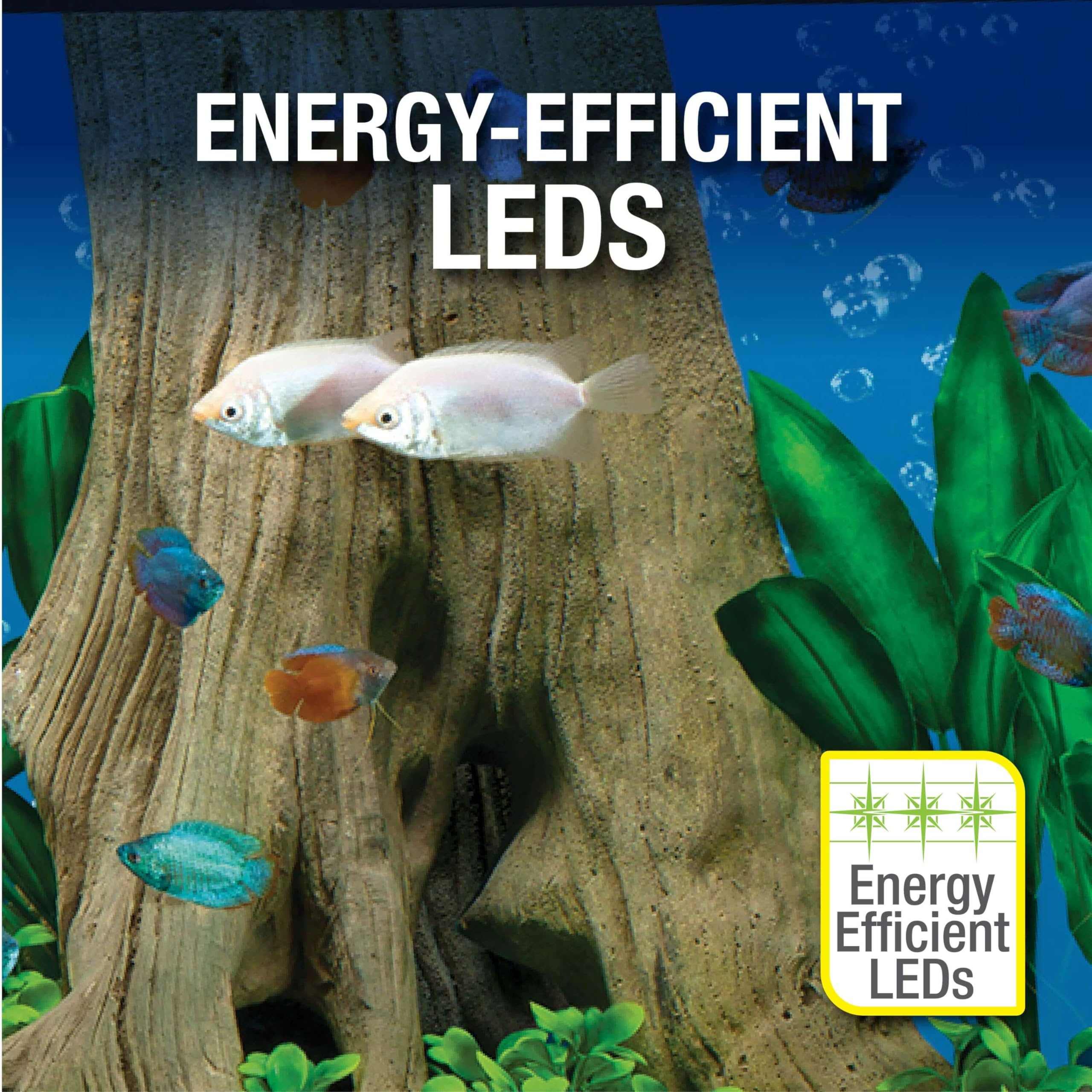 Tetra Complete Aquarium Kit (10 Gallon)