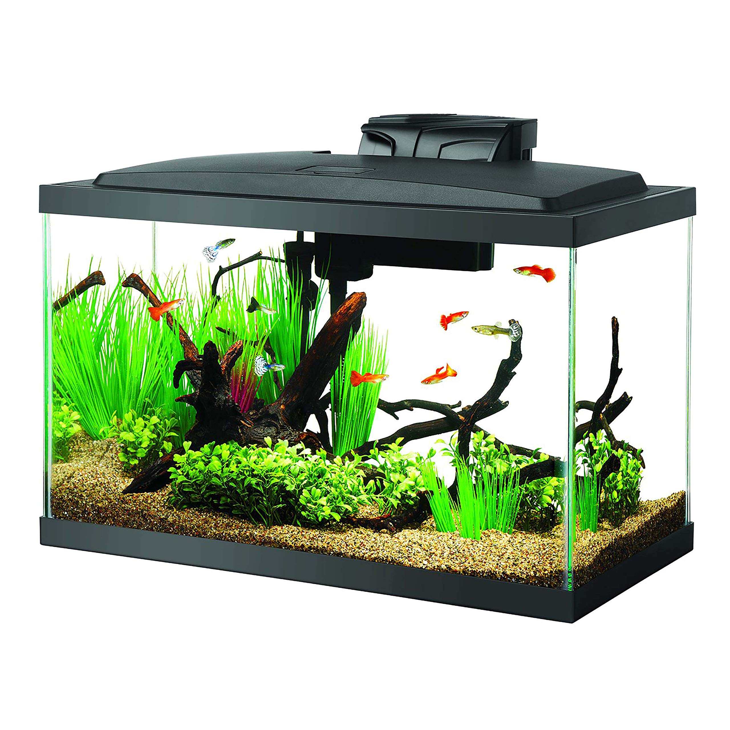 Aqueon Aquarium Fish Tank Starter Kit (10 Gallon