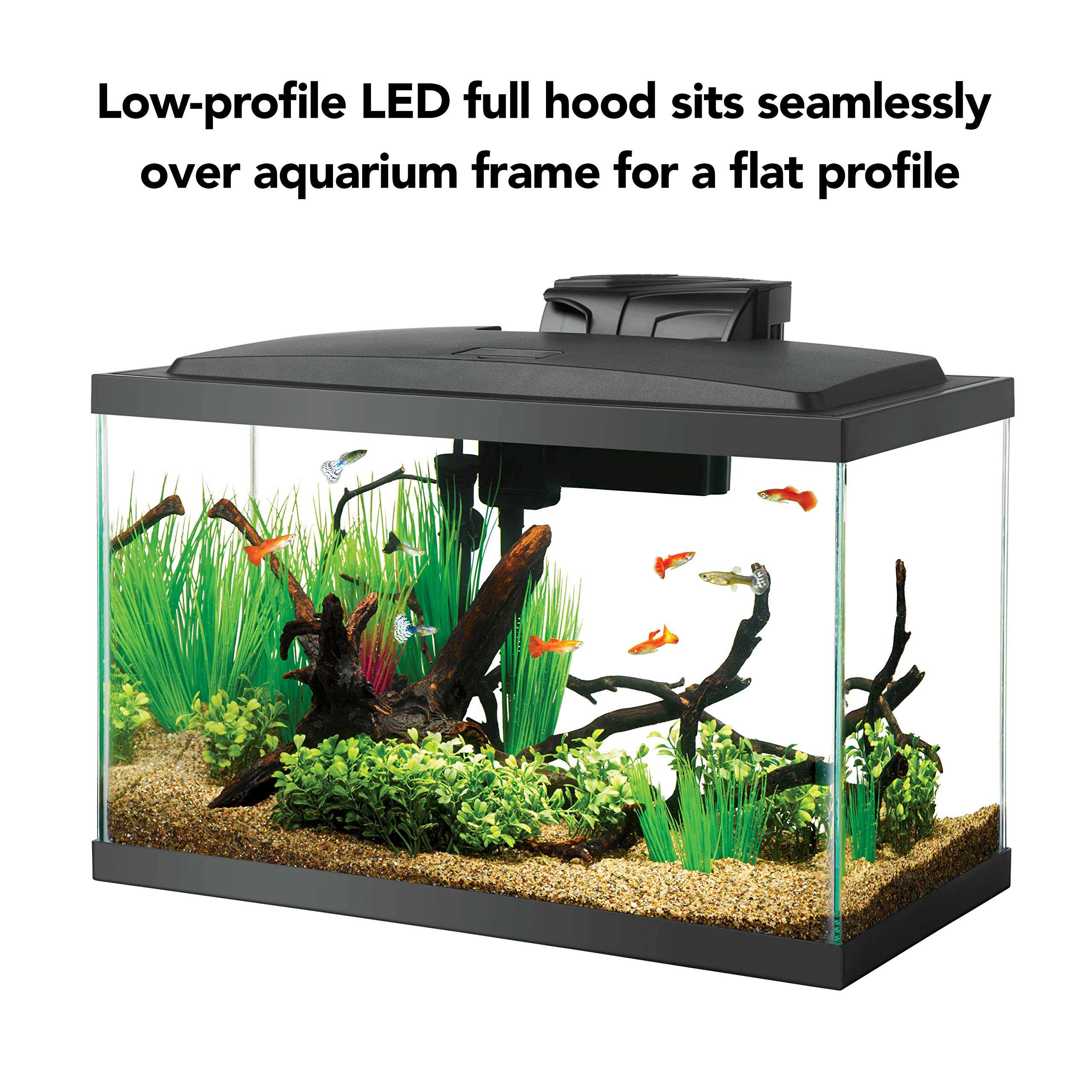 Aqueon Aquarium Fish Tank Starter Kit (10 Gallon