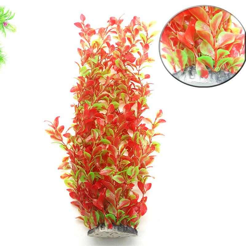 Live Aquatic Plant Bundle