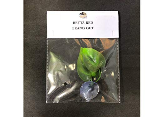 Betta Leaf Hammock