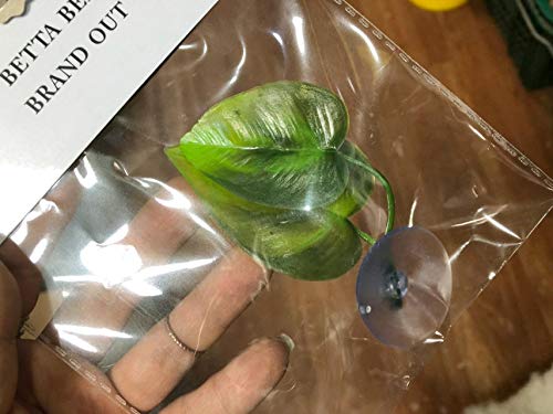 Betta Leaf Hammock