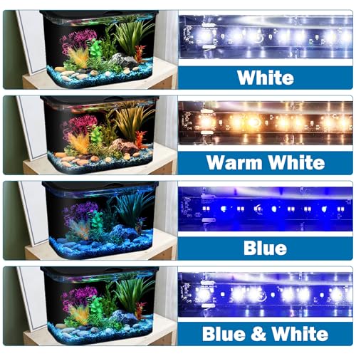Koller Products 5-Gallon Aquarium Kit with LED Lighting and Power Filter, Ideal for a Variety of Tropical Fish