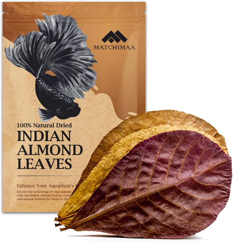 Indian Almond Leaves (10–20 pack)