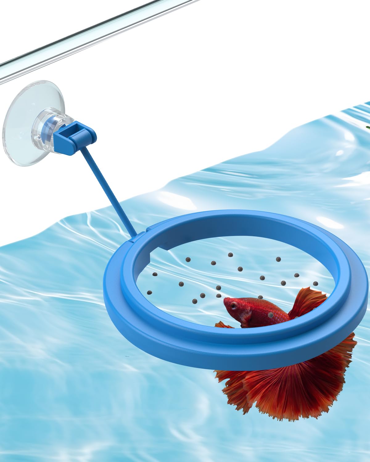 Feeding Ring + Dropper Tool