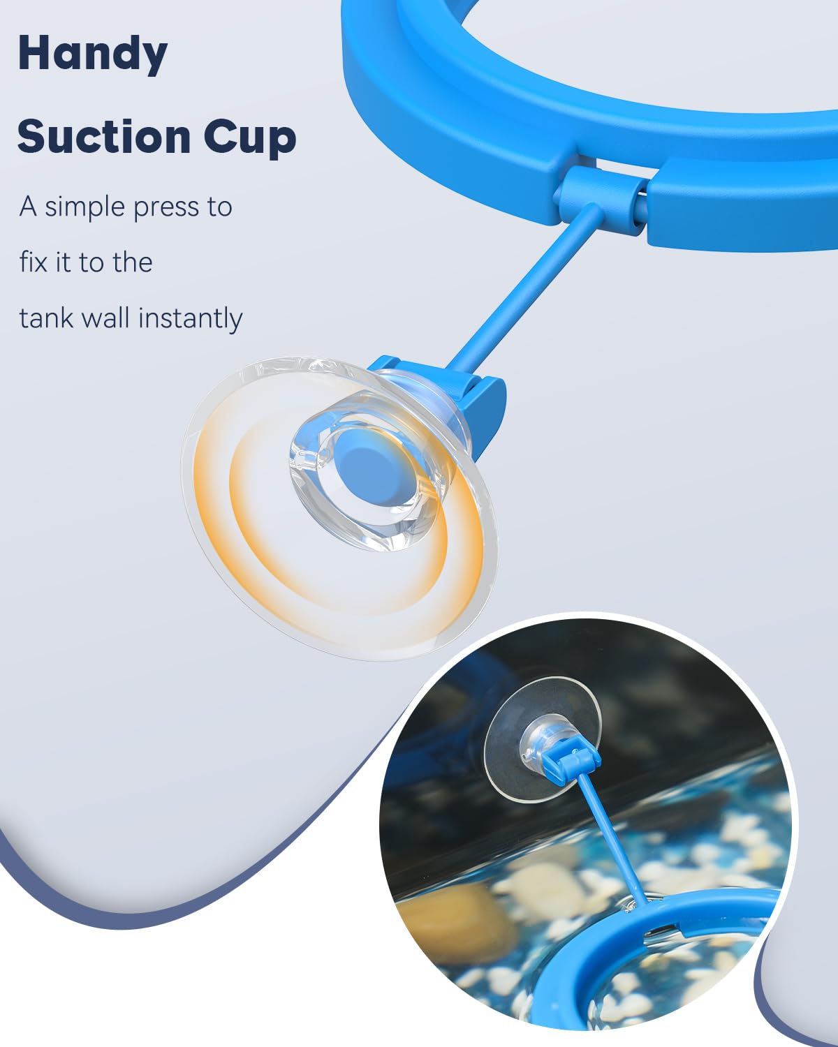 Feeding Ring + Dropper Tool