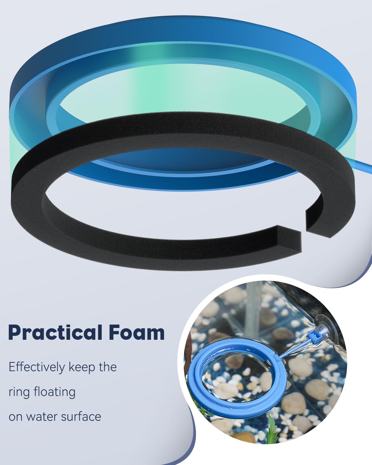 Feeding Ring + Dropper Tool
