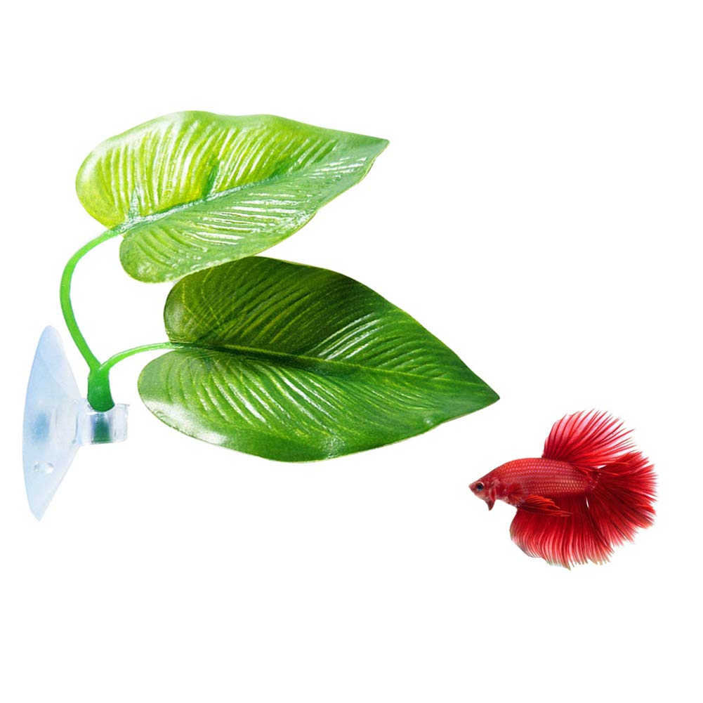 Betta Leaf Hammock