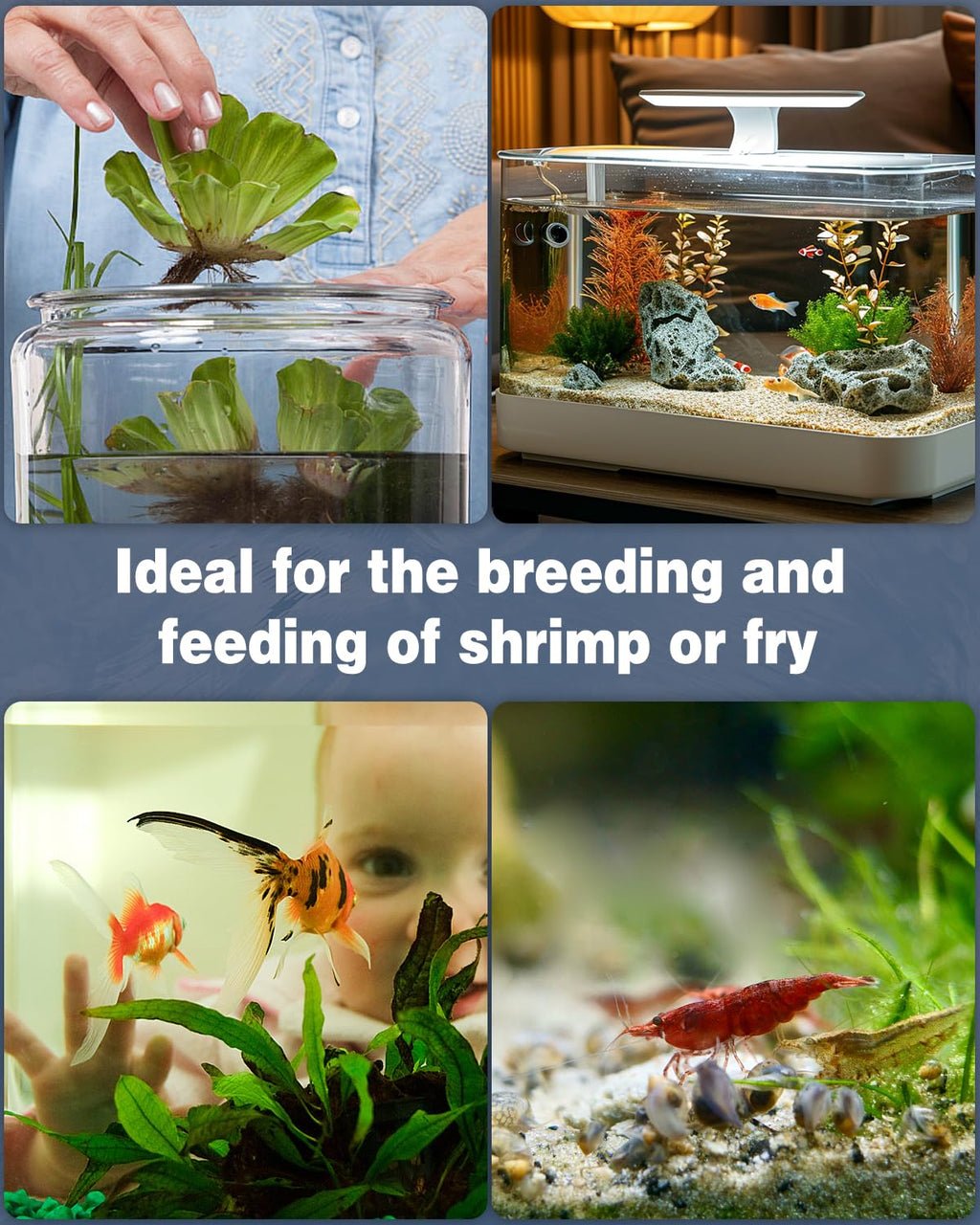 Pawfly Mini Aquarium Sponge Filter, Small Fish Tank Internal Filter with Foam and Air Stone Submersible Bio Sponge Filter for Fish Tanks up to 5 Gallon (Air Pump Not Included)