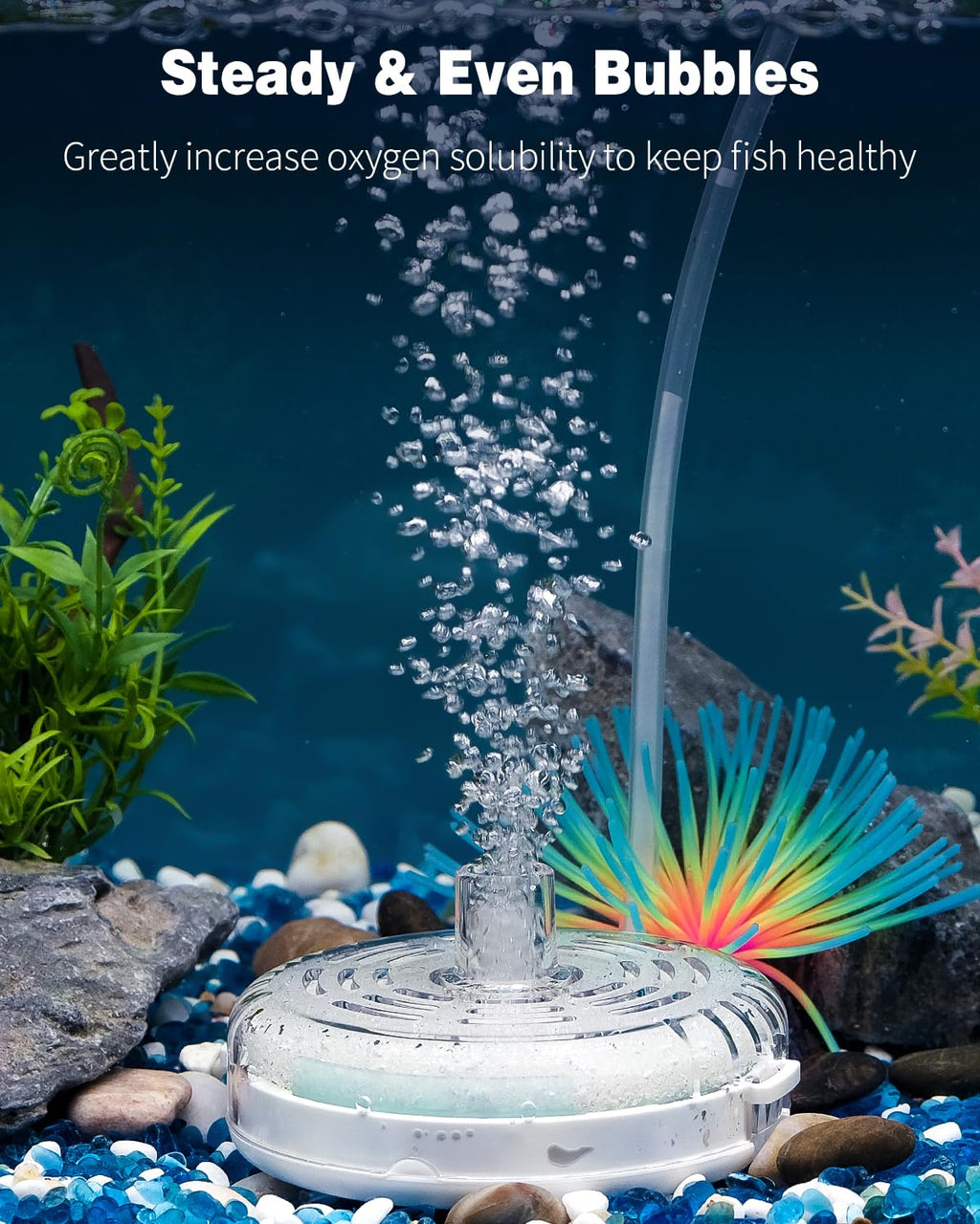 Pawfly Mini Aquarium Sponge Filter, Small Fish Tank Internal Filter with Foam and Air Stone Submersible Bio Sponge Filter for Fish Tanks up to 5 Gallon (Air Pump Not Included)