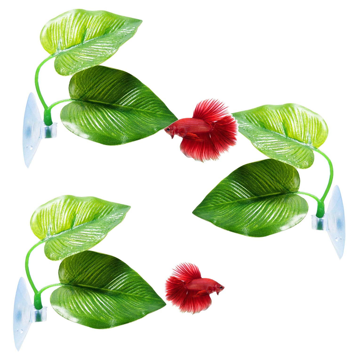 Betta Leaf Hammock
