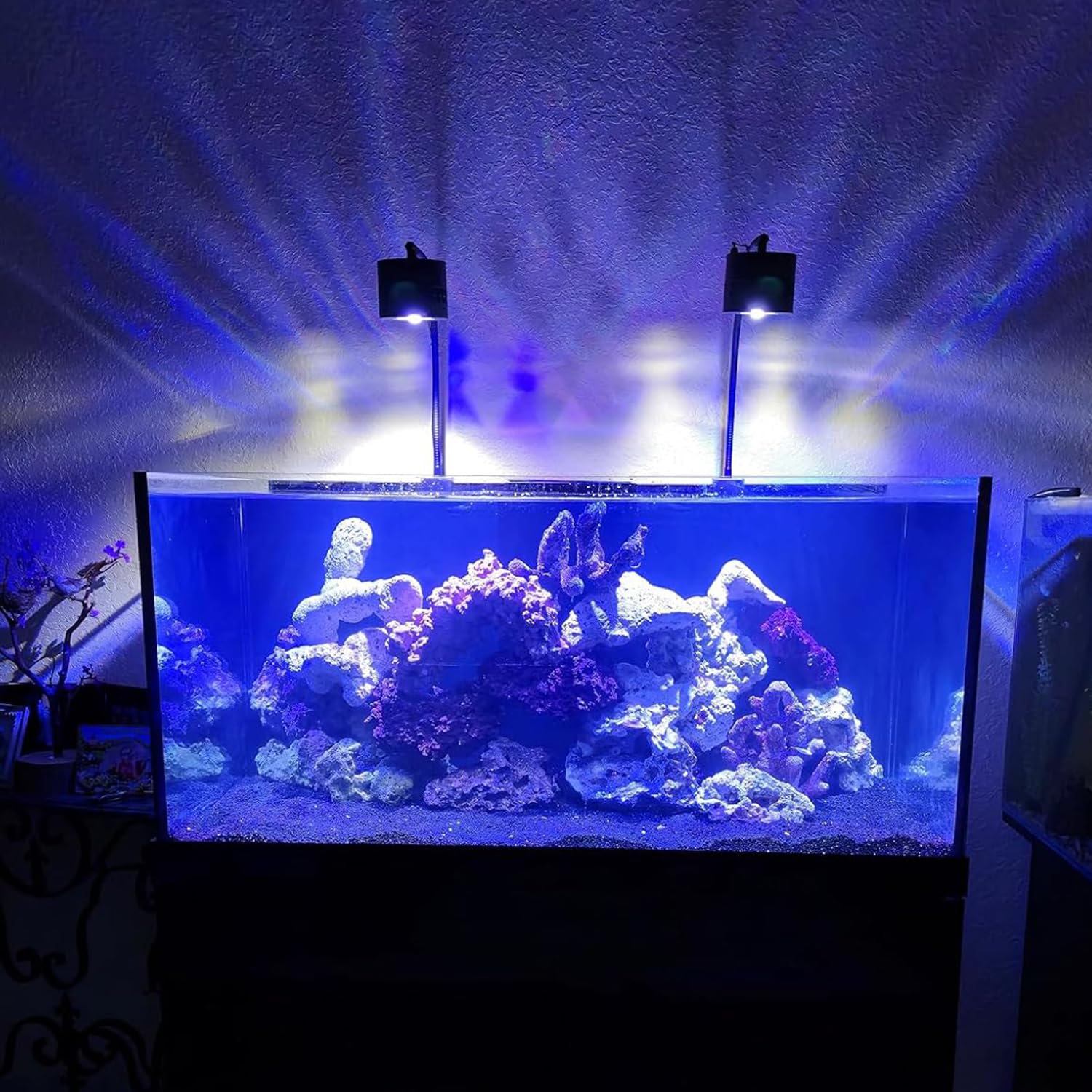 Lominie LED Aquarium Light Saltwater Aquarium Lamp 30W Full Spectrum with Remote Dimmable Nano Coral Reef Light for Fish Tank with Bracket