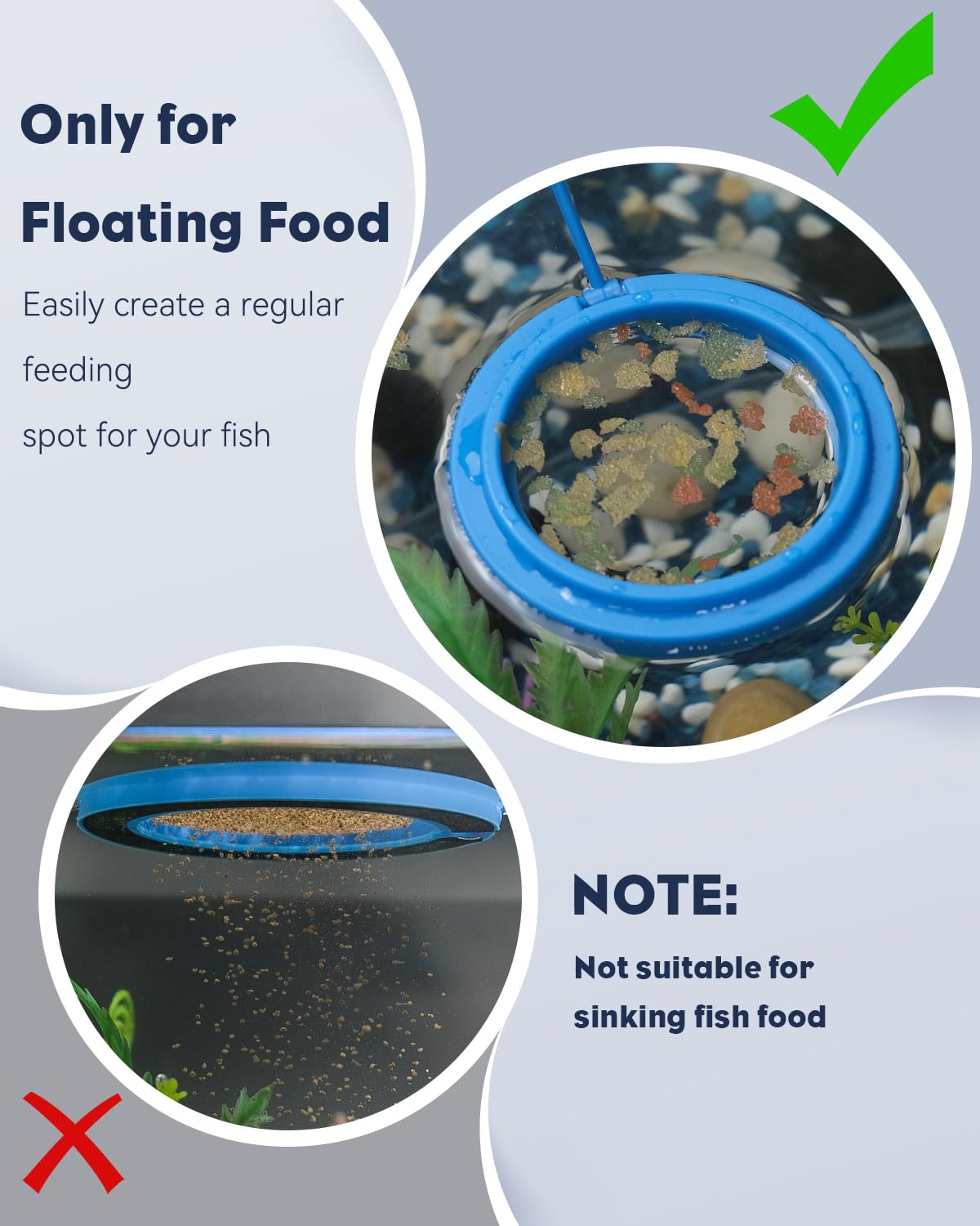 Feeding Ring + Dropper Tool